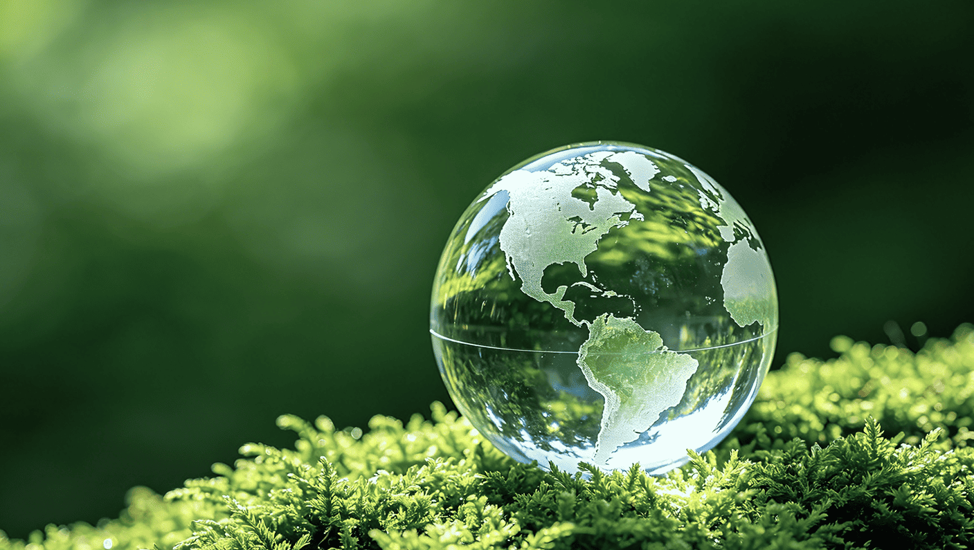 ENVIRONMENTAL